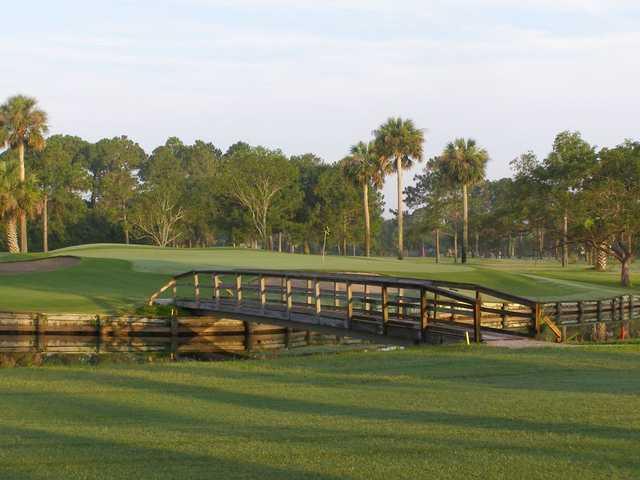 Selva Marina Country Club - photo 2
