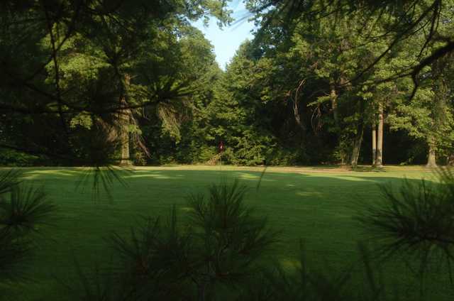 Hidden Oaks - photo 2