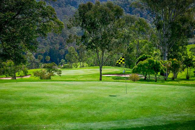 Nambour Golf Club - photo 4