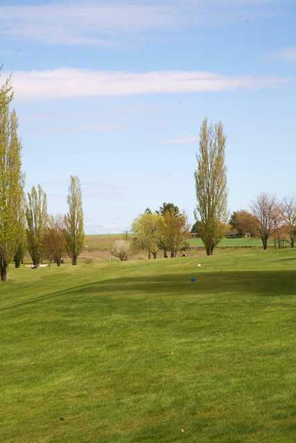 Sage Hills Golf and RV Resort - photo 3