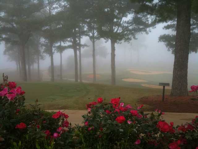 Links at Tuscaloosa - photo 2