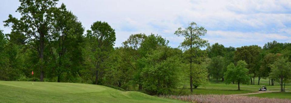 St. Anne Country Club - photo 4