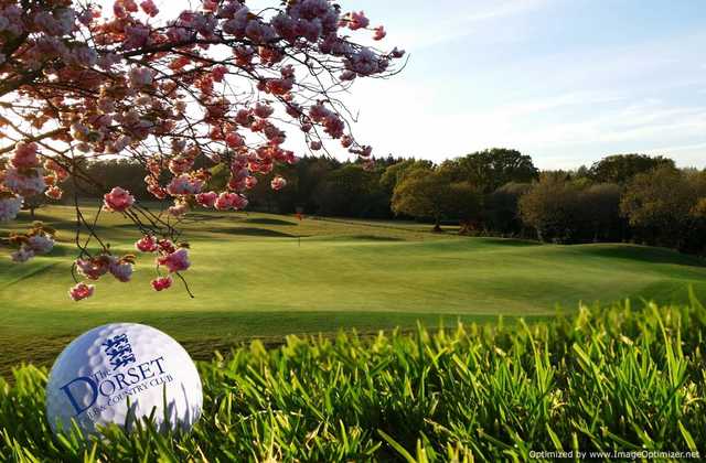 Dorset Golf & Country Club - photo 2