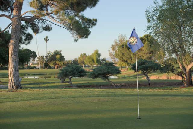 Palmbrook Golf Club - photo 3
