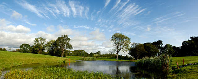 Roganstown - photo 6