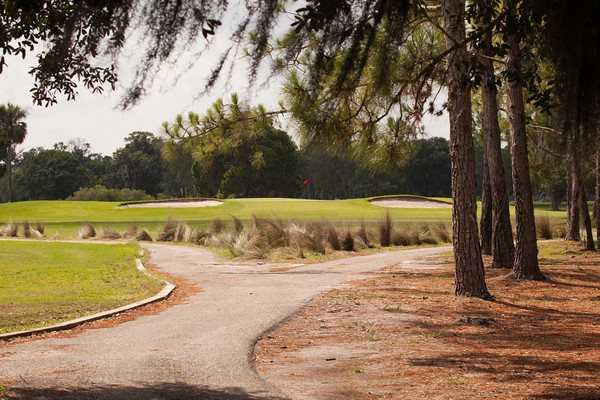 The Eagles Golf Club - Lakes - photo 6