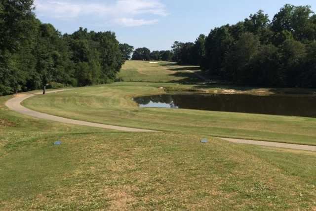 Holly Tree Country Club - photo 3