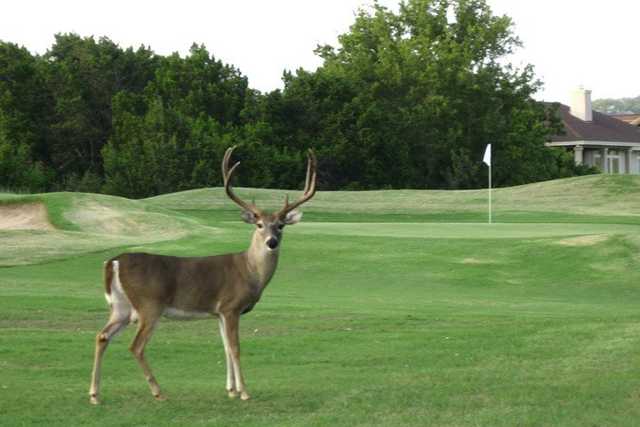 Lago Vista Golf Course - photo 2