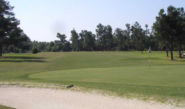 Shannon Greens Golf Club - photo 5