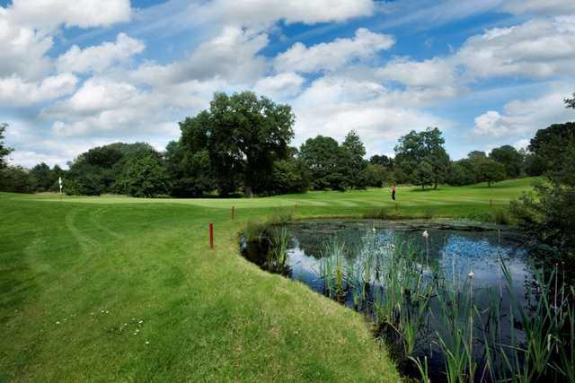 The Tytherington Club - photo 3