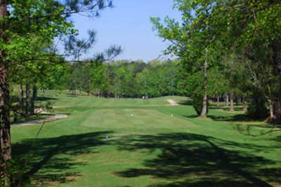 Oak Mountain Golf Course - photo 4