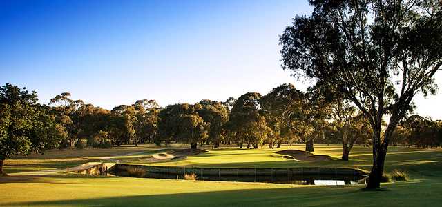 Northern Golf Club - photo 3