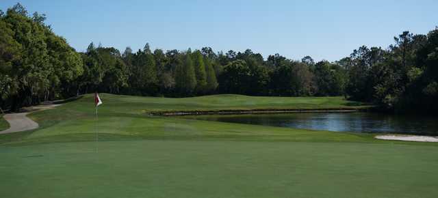 Rosedale Golf and Country Club - photo 6