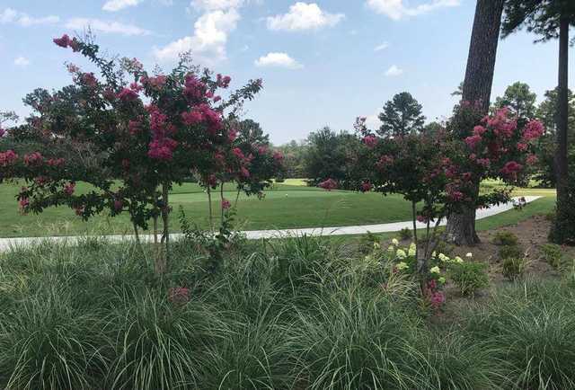Cedar Valley Golf Course - photo 3