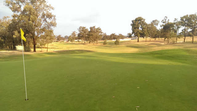 Cessnock Golf Club - photo 3