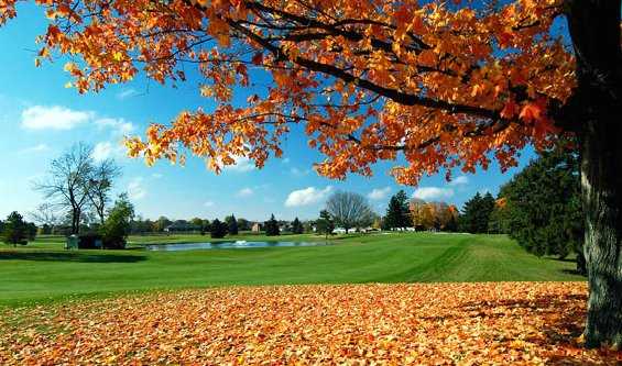 Mohawk Golf and Country Club - photo 3