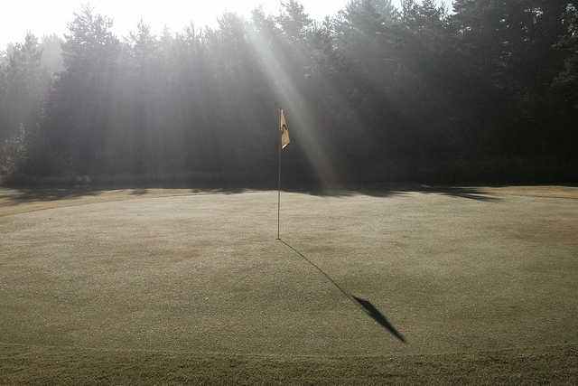 Alpine Meadows Golf Course - photo 3