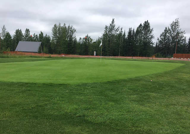 Bird Homestead Golf Course - photo 2