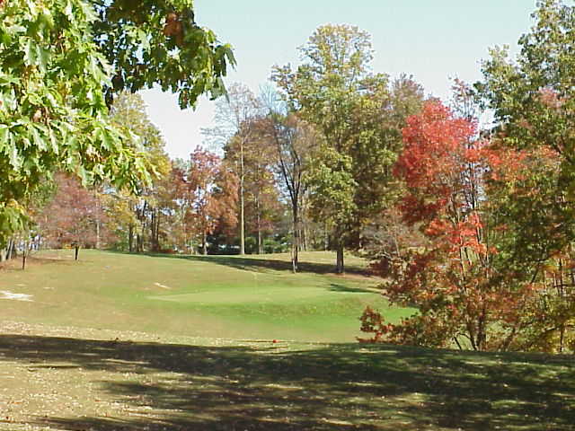 Lansdowne Resort - photo 2