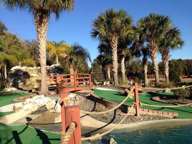 Tree Tops Golf and Driving Range - photo 2