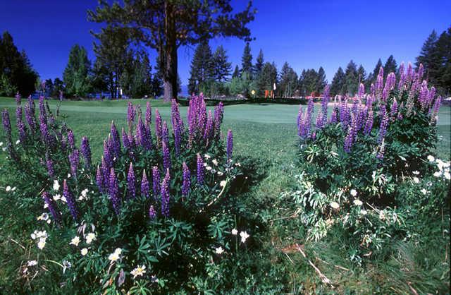 Old Brockway Golf Club - photo 6