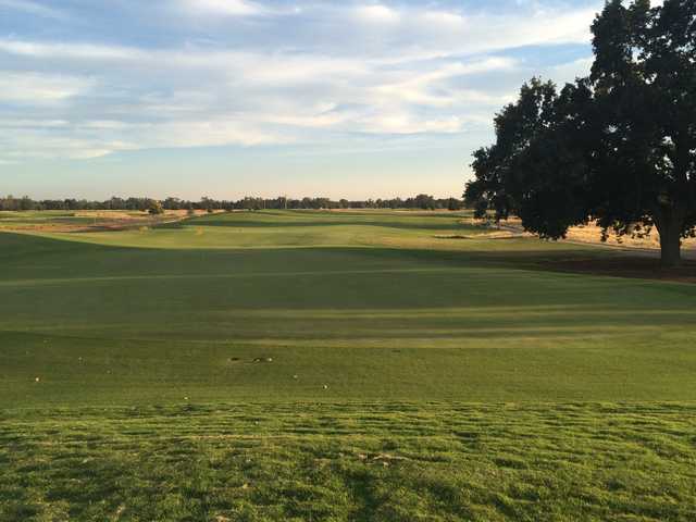Dragonfly Golf Club - photo 3