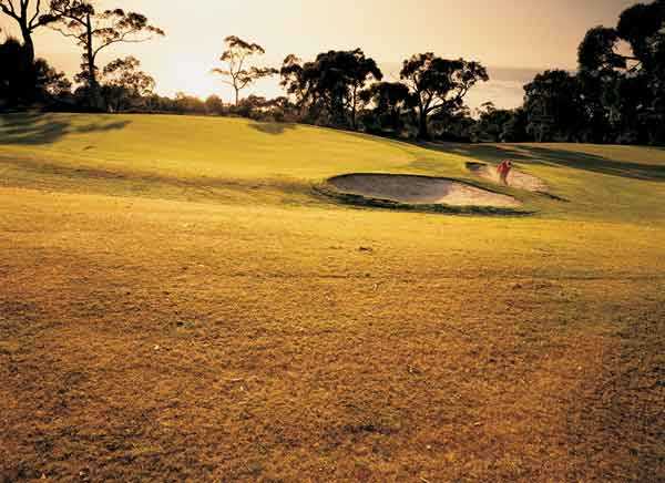 Apollo Bay Golf Club - photo 3