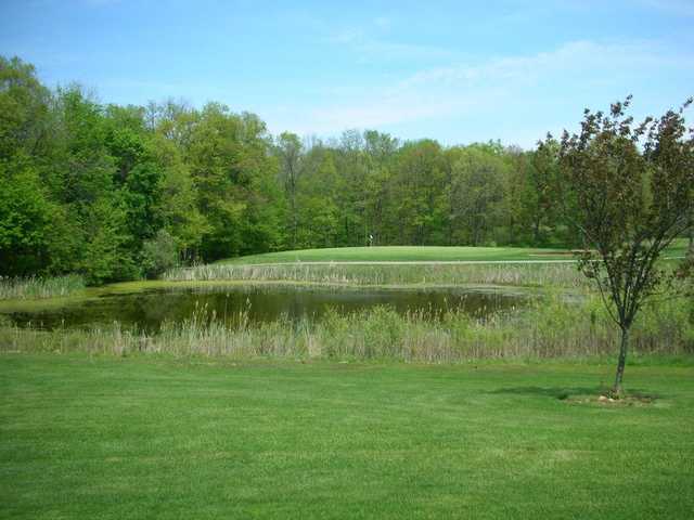 Hudson Mills Golf Course - Metropark Golf - photo 4