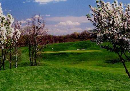 Gibson Bay Golf Course - photo 7