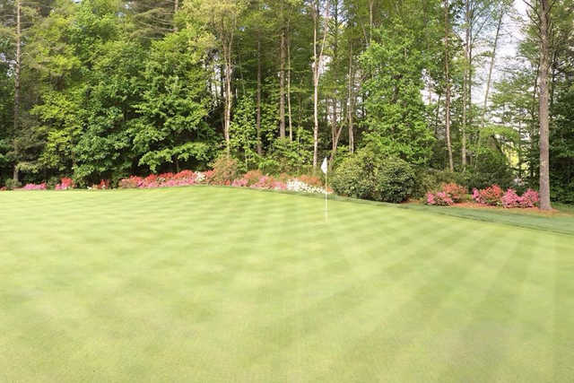Sapphire Lakes Country Club - photo 2