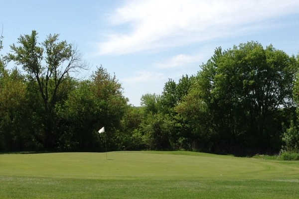 Meadowview Country Club - photo 3