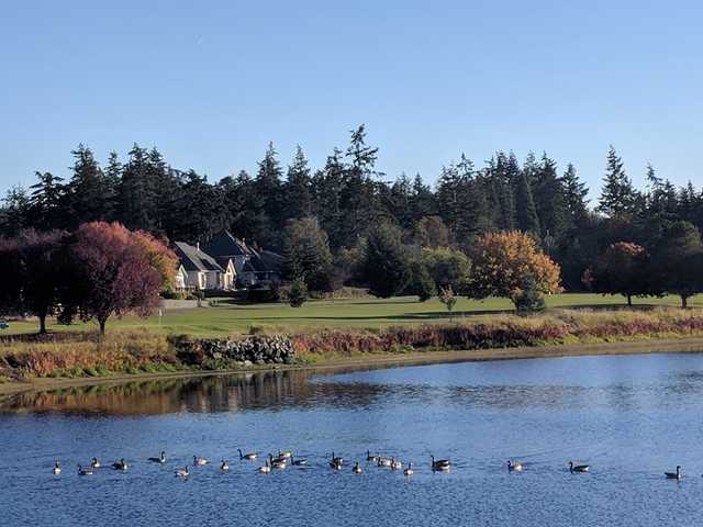 Whidbey - photo 1