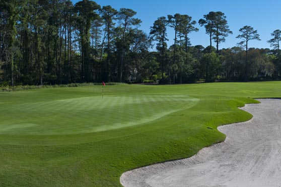 Retreat Golf Course At St. Simons Island - photo 4