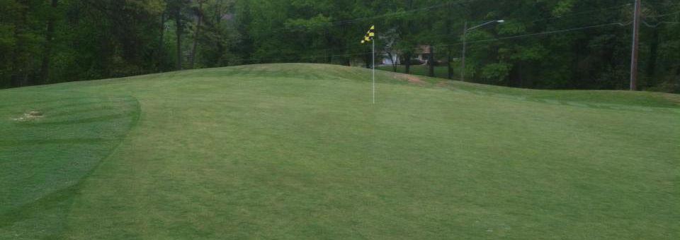 Heather Hills Golf Course - photo 4