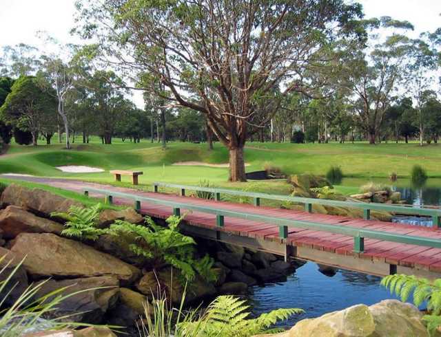 Ryde-Parramatta Golf Club - photo 7