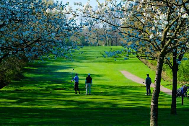 Maylands Golf Club - photo 4