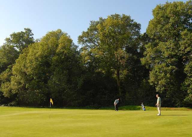 Horsham Park Golf Club - The Oaks Course - photo 5