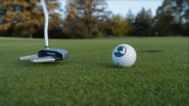 Oak Brook Golf Club - photo 6