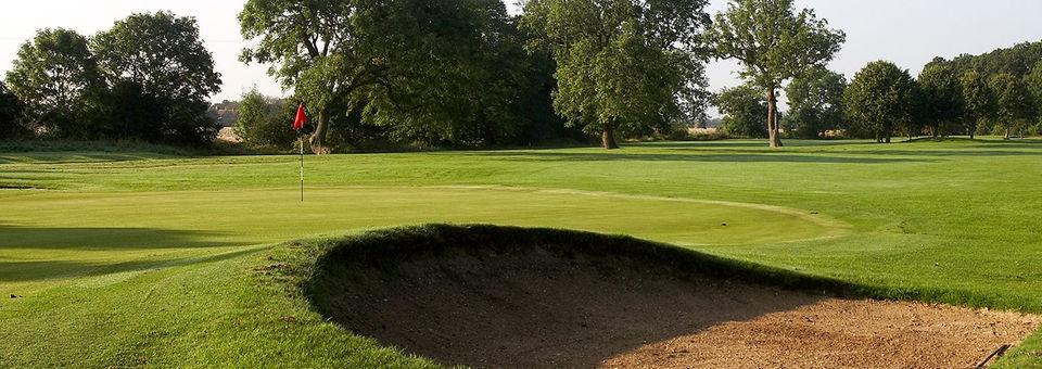 Ganstead Park Golf Club - photo 4
