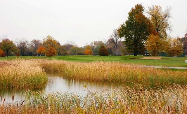 Chandler Park Golf Course - photo 2