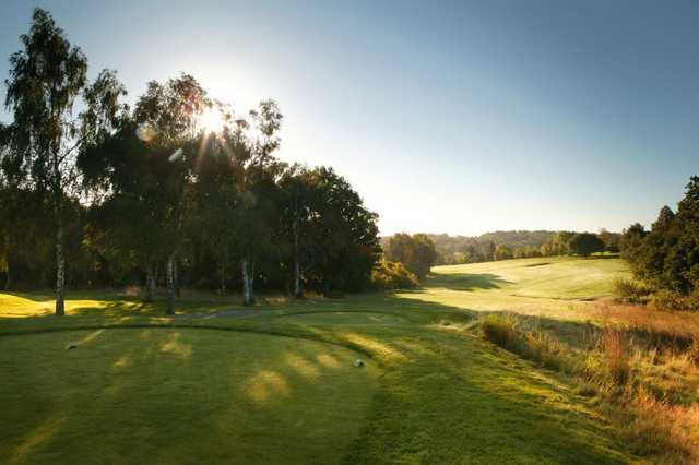 Hadley Wood - photo 6