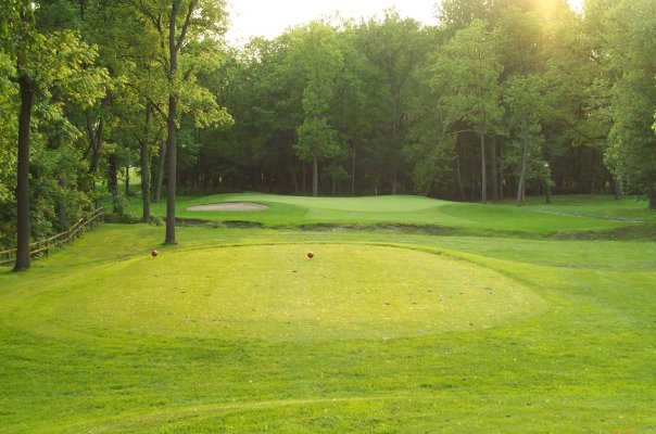 Sycamore Hills Golf Club - photo 6