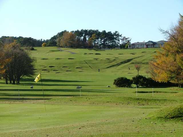 The Curragh - photo 2