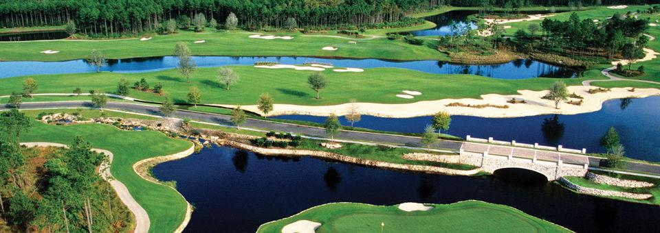 Hammock Beach - Conservatory Course - photo 6