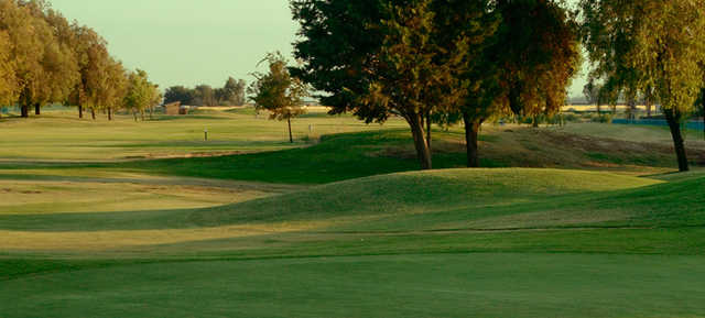 Lemoore - photo 3