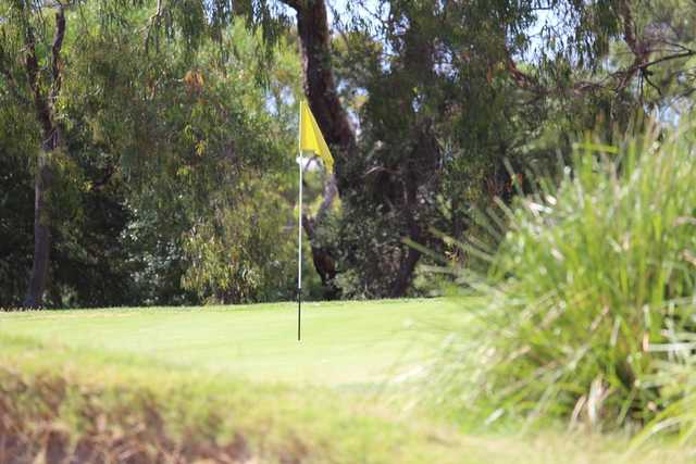 Spring Park Golf Course - photo 4