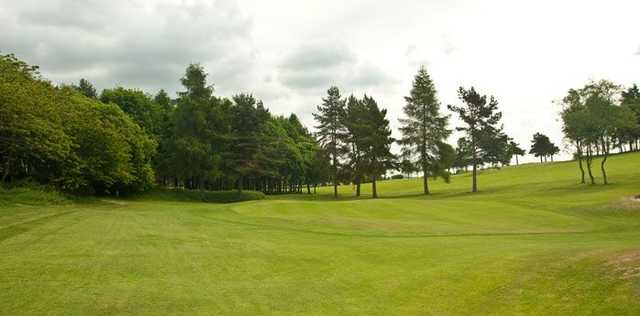 Glenrothes Golf Club - photo 6