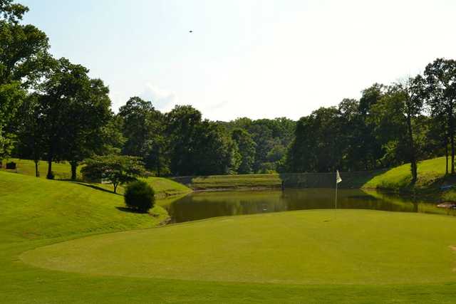 Cahawba Falls Country Club - photo 3