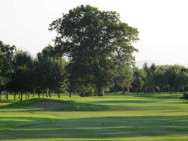Slievenamon