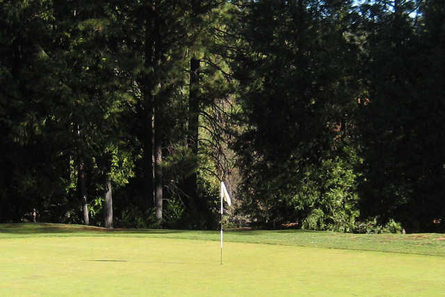 Mace Meadow Golf Course - photo 5